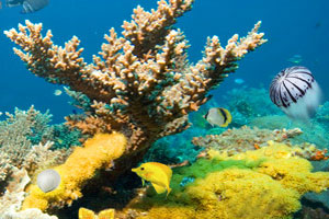 食品价格高企引发选民愤怒 美国将公布关税豁免措施