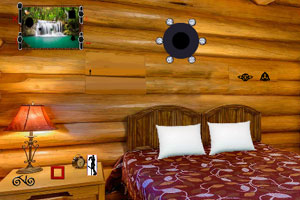 FlyDubai向空客订购最多150架A321neo