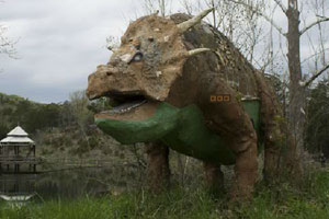 星空综合app手机版