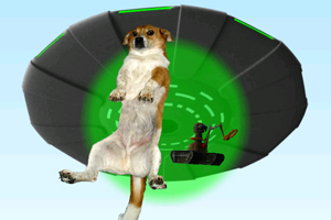 天猫双11：头部品牌成交七成以上由88VIP贡献