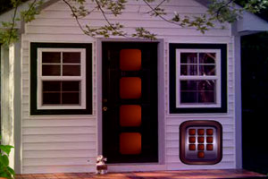 欧洲国家防长誓言加强合作 应对新型混合威胁