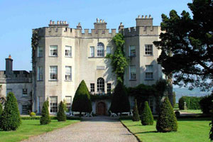 多只牛股，最新公告！