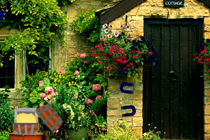 美国社保支票于11月19日正常发放 未受政府停摆影响