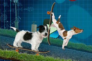 土耳其军用飞机在格鲁吉亚坠毁，机上至少有20人