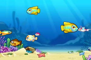 划重点！“六小龙”首次齐聚乌镇，谈了些什么？