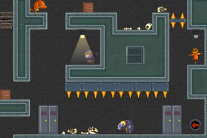 603122，14天12涨停！600829，5连板！这一概念火了，多只牛股诞生！