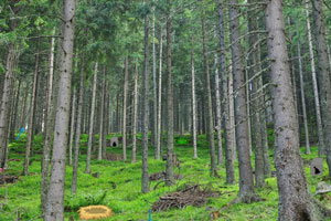 8家上市公司暴露环境风险 西藏天路连收两张罚单