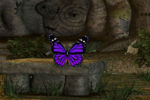 美联储降低监管力度引发批评