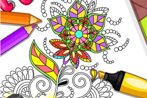 星空官网登录入口电脑免费版