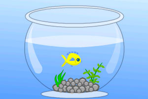 美国与拉美多国达成贸易协议，下调阿根廷牛肉关税